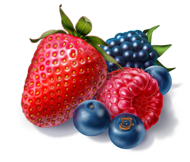 Акварельные ягоды - Березкина_0.jpg